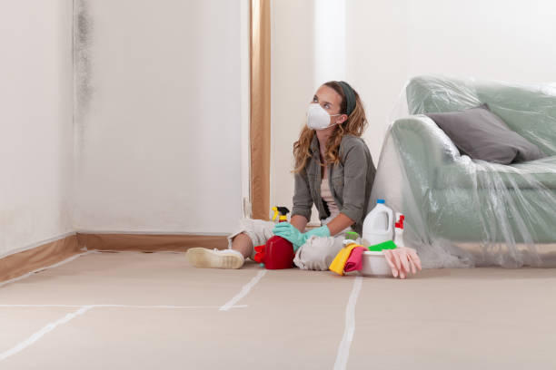Trusted Basement Mold Remediation service in Osterburg, PA - Cheap Mold Removal